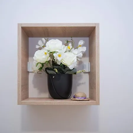 ゲストハウス Cvetni Trg ベオグラード